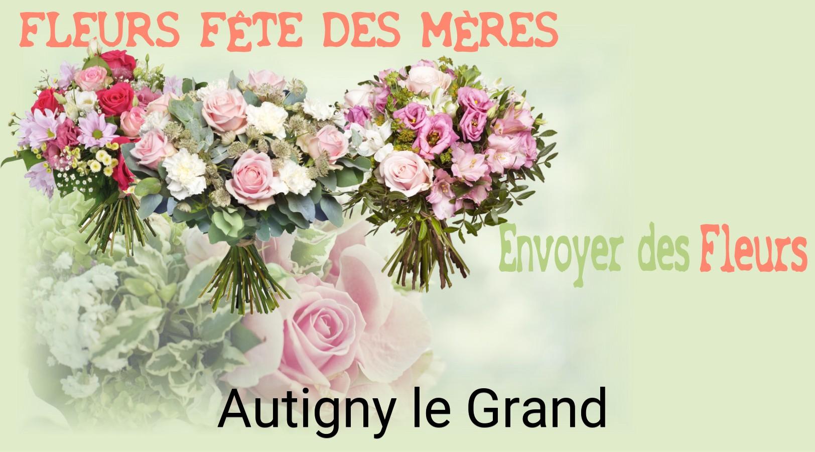 Bouquet de Fête des Mères livré à Autigny-le-Grand